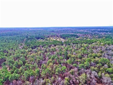 xx Moody Ln, Crawfordville, FL 32327 - photo 7