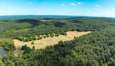 0 Highway 221 unit 11571616, Ironton, MO 63650 - photo 3