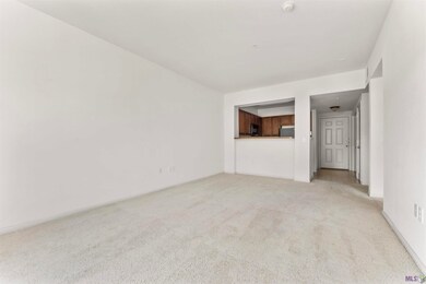 6765 Corporate Blvd unit 9202, Baton Rouge, LA 70809 - photo 5