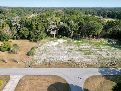TBD NW 47th Ave, Ocala, FL 34482 - photo 2