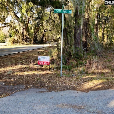 37 Levant Byas Rd, Saint Helena Island, SC 29920 - photo 2