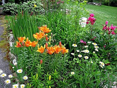Yard/Garden.