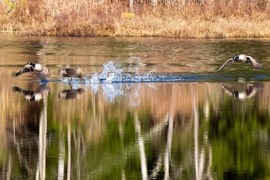 900 Bunker Hill Rd, South Tamworth, NH 03883 - photo 6