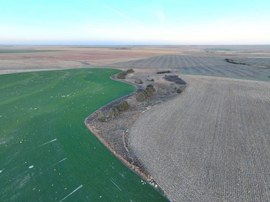 000 Road 29, Bird City, KS 67731 - photo 5