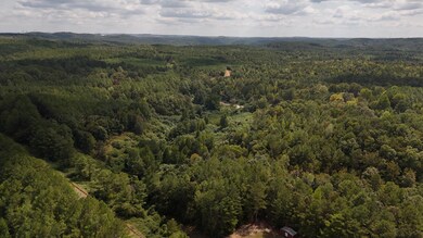 dji_fly_20240907_133708_0476_17258208039