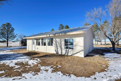 20990 Jones Rd, Peyton, CO 80831 - photo 4