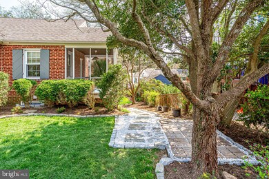 202 E Hamilton Ave, Silver Spring, MD 20901 - photo 4