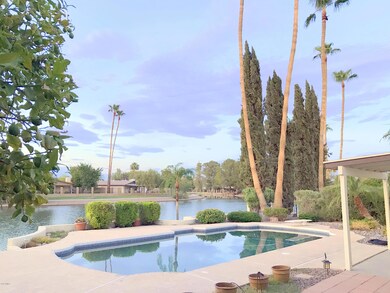2436 W VIA RIALTO CIR Diving Pool 3
