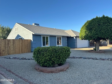 Front Ext