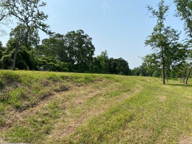 27897 Kresdorn Rd, Hockley, TX 77447 - photo 2