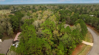 221 Skipper Jack Dr, Montgomery, TX 77316 - photo 4