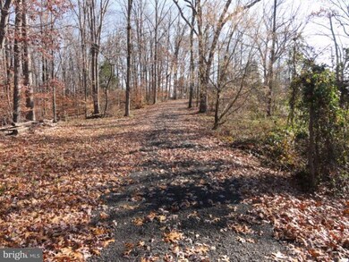 0 Mount Gilead Rd unit 1000602819, Leesburg, VA 20175 - photo 6