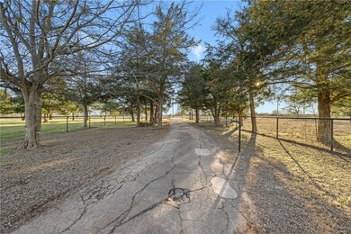 Tree lined entrance