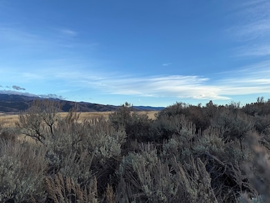 32 AC Deer Loop, Council, ID 83612 - photo 4