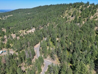 NKA Weaver Way unit Lot 3 of Lot 1, Deer Park, WA 99006 - photo 6