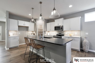 4111 S 213th St, Douglas, NE 68022 - photo 6