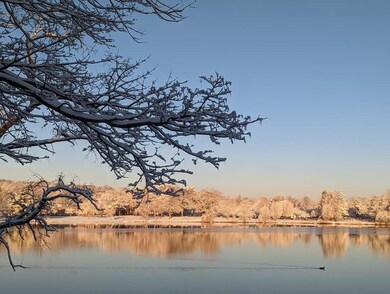 11 Spaulding St unit 1, Wakefield, MA 01880 - photo 4