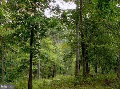 0 Waterloo Rd unit 1004637350, Amissville, VA 20106 - photo 2