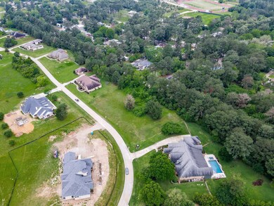 22420 Meadowhurst Cir W, Tomball, TX 77377 - photo 5