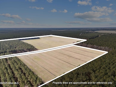 0 Tuten Rd, Edward, NC 27821 - photo 2