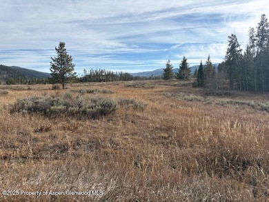 TBD Wiffle Tree Trail, Oak Creek, CO 80467 - photo 4