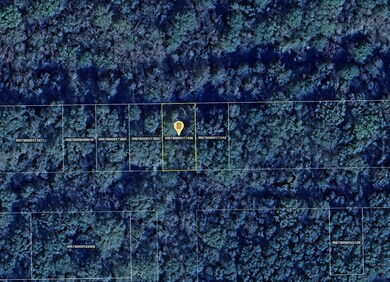 County Road 2121, Cleveland, TX 77327 - photo 7