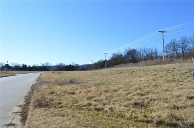 0 Stokenbury Farms unit 1007064, Elkins, AR 72727 - photo 5