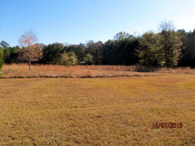 437 Comer Rd, Gray, GA 31032 - photo 6