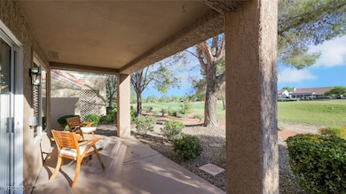 8901 Litchfield Ave, Las Vegas, NV 89134 - photo 6