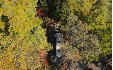 341 25th St, Ellijay, GA 30540 - photo 4