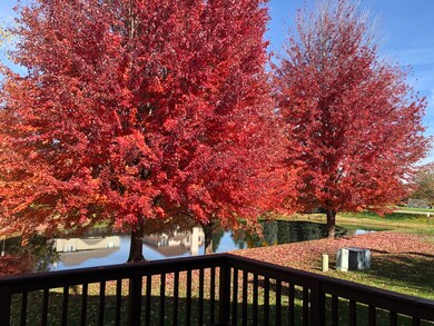 2019 Tamahawk Ln unit 2019, Naperville, IL 60564 - photo 3