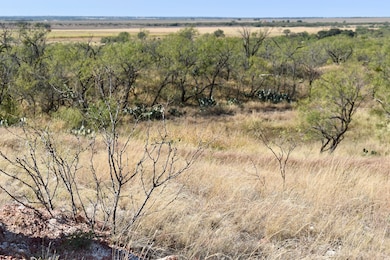 85 Private Road 527, Brady, TX 76825 - photo 7