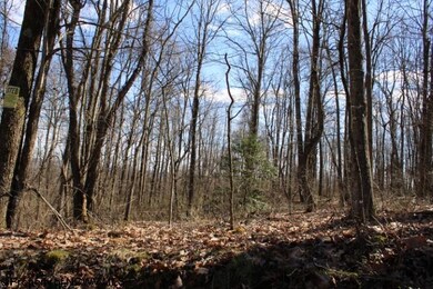 Lot 2 Sand Bank Heights Rd, Masontown, WV 26542 - photo 6