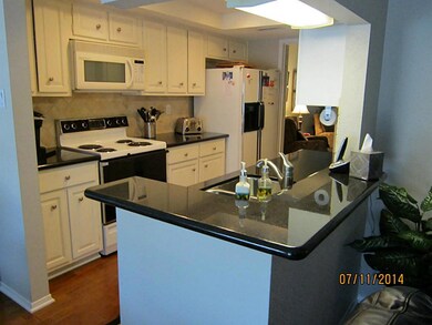 14203 Misty Meadow Ln, Houston, TX 77079 - photo 6