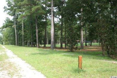 4421 Highway 554 unit Emery Rd/Pecan, Loris, SC 29569 - photo 6