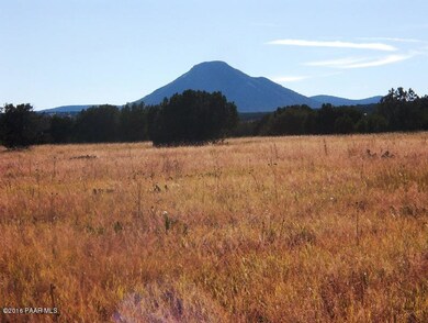 Simonsen vacant land pictures 002