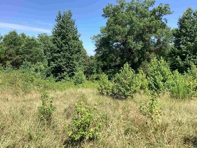 000 Hempstead 24 Rd, Blevins, AR 71825 - photo 4