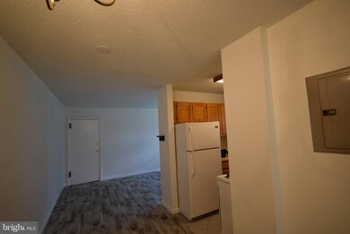 2239 Farrington Ave unit 101, Alexandria, VA 22303 - photo 7