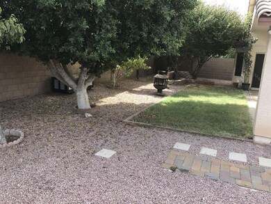 Back yard
