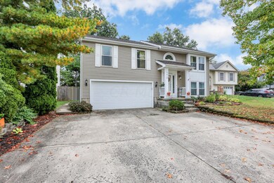 8-web-or-mls-0D3A9443