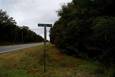 0 Owl Ln unit 1 287430, Wakulla, FL 32327 - photo 2