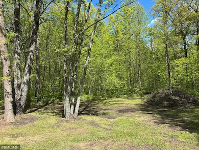 23122 435th St, McGregor, MN 55760 - photo 2