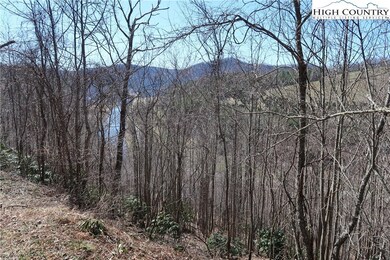 You can just see the New River through the trees (
