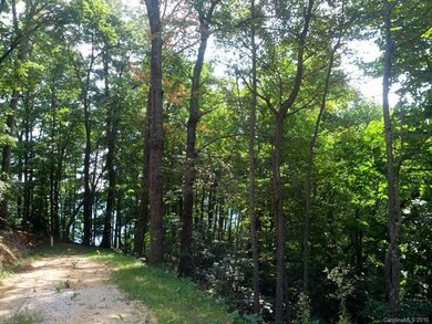 Driveway to build pad - Note well is in place!