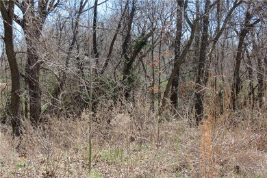 14327 Taylor Rd unit Tract 5, Springdale, AR 72762 - photo 6