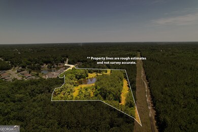 20 Acres Kingsland West of Hwy 17, Kingsland, GA 31548 - photo 4