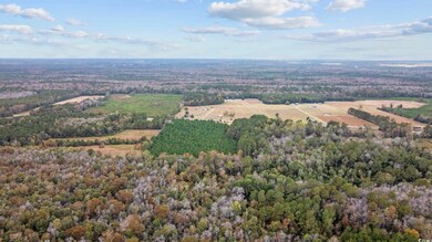 lots 3-9 Creek Landing Rd, Nichols, SC 29581 - photo 6