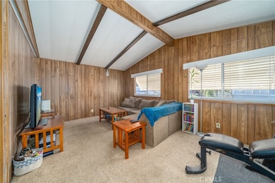 5935 Live Oak Dr unit 25, Kelseyville, CA 95451 - photo 6