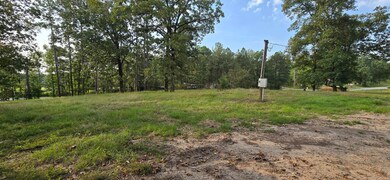 102 Owasso Trail, Bismarck, AR 71929 - photo 7