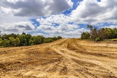 236 Latigo Way, Weatherford, TX 76088 - photo 2